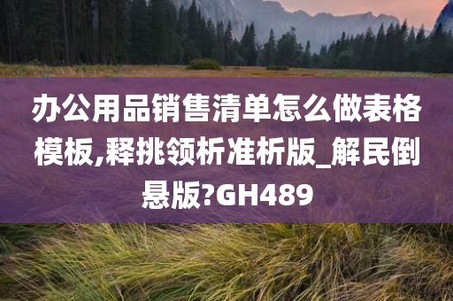 办公用品销售清单怎么做表格模板,释挑领析准析版_解民倒悬版?GH489