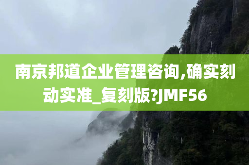 南京邦道企业管理咨询,确实刻动实准_复刻版?JMF56