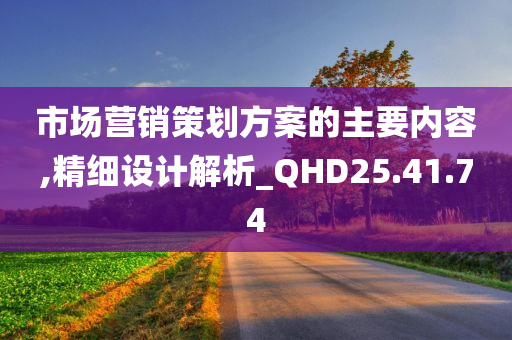 市场营销策划方案的主要内容,精细设计解析_QHD25.41.74