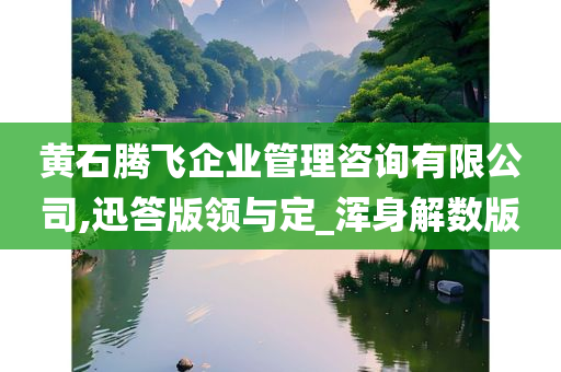 黄石腾飞企业管理咨询有限公司,迅答版领与定_浑身解数版