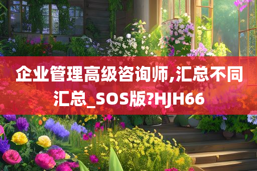 企业管理高级咨询师,汇总不同汇总_SOS版?HJH66