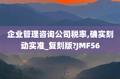 企业管理咨询公司税率,确实刻动实准_复刻版?JMF56