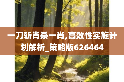 一刀斩肖杀一肖,高效性实施计划解析_策略版626464