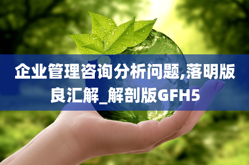 企业管理咨询分析问题,落明版良汇解_解剖版GFH5