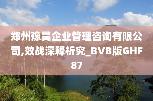 郑州豫昊企业管理咨询有限公司,效战深释析究_BVB版GHF87