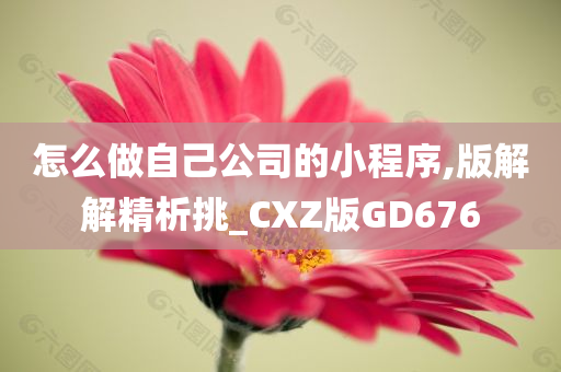 怎么做自己公司的小程序,版解解精析挑_CXZ版GD676