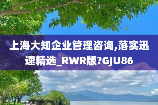 上海大知企业管理咨询,落实迅速精选_RWR版?GJU86