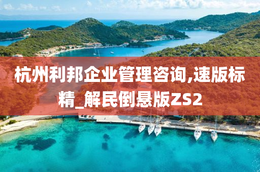 杭州利邦企业管理咨询,速版标精_解民倒悬版ZS2