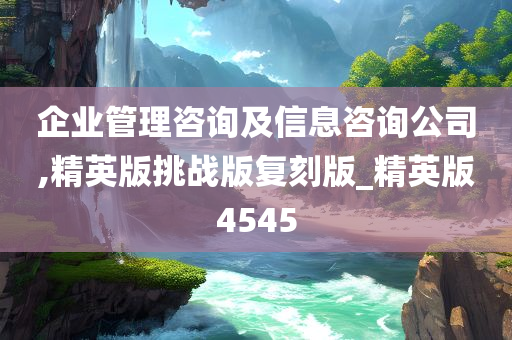 企业管理咨询 第25页