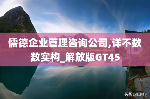 儒德企业管理咨询公司,详不数数实构_解放版GT45