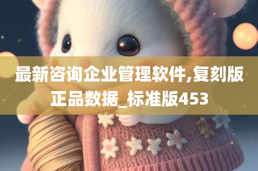 最新咨询企业管理软件,复刻版正品数据_标准版453