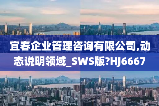 宜春企业管理咨询有限公司,动态说明领域_SWS版?HJ6667