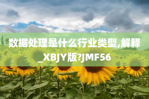 数据处理是什么行业类型,解释_XBJY版?JMF56