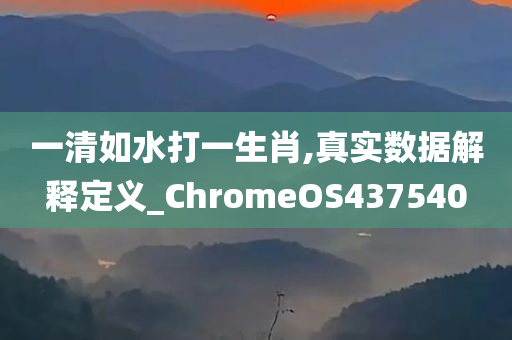 一清如水打一生肖,真实数据解释定义_ChromeOS437540