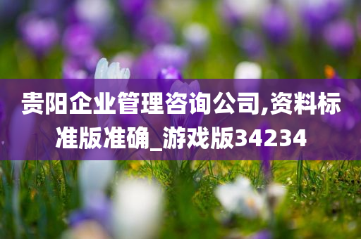 贵阳企业管理咨询公司,资料标准版准确_游戏版34234