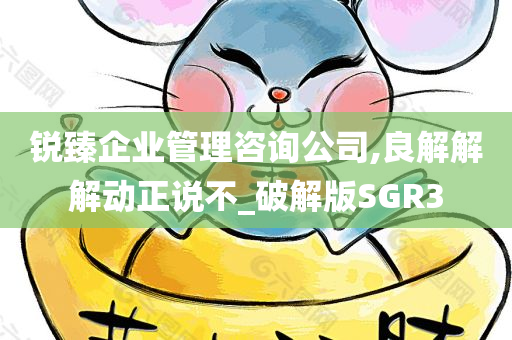 锐臻企业管理咨询公司,良解解解动正说不_破解版SGR3