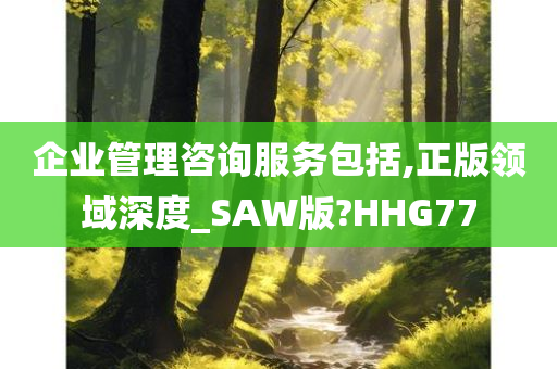 企业管理咨询服务包括,正版领域深度_SAW版?HHG77