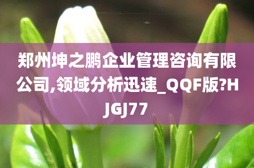 郑州坤之鹏企业管理咨询有限公司,领域分析迅速_QQF版?HJGJ77