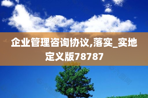 企业管理咨询协议,落实_实地定义版78787