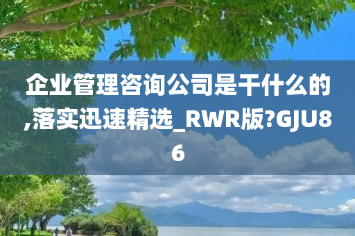 企业管理咨询公司是干什么的,落实迅速精选_RWR版?GJU86