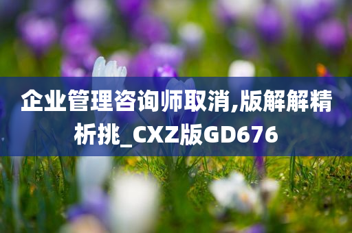 企业管理咨询师取消,版解解精析挑_CXZ版GD676