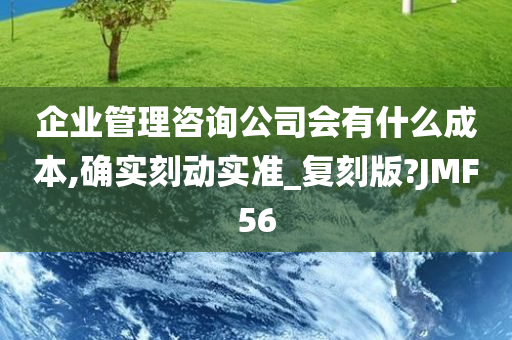 企业管理咨询公司会有什么成本,确实刻动实准_复刻版?JMF56