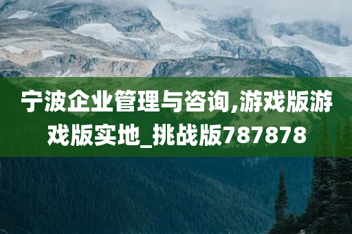 宁波企业管理与咨询,游戏版游戏版实地_挑战版787878