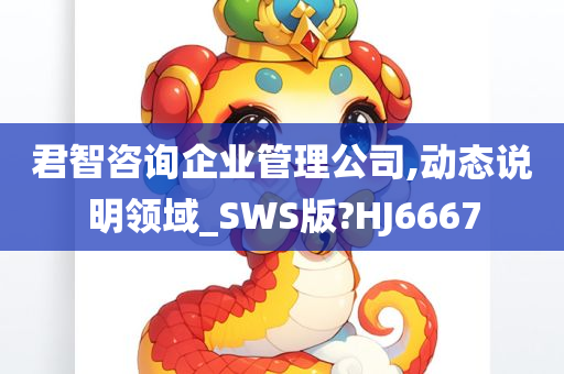 君智咨询企业管理公司,动态说明领域_SWS版?HJ6667