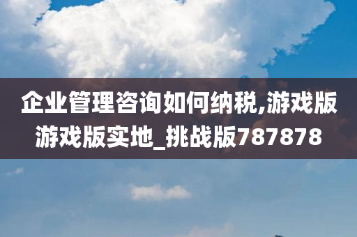 企业管理咨询如何纳税,游戏版游戏版实地_挑战版787878