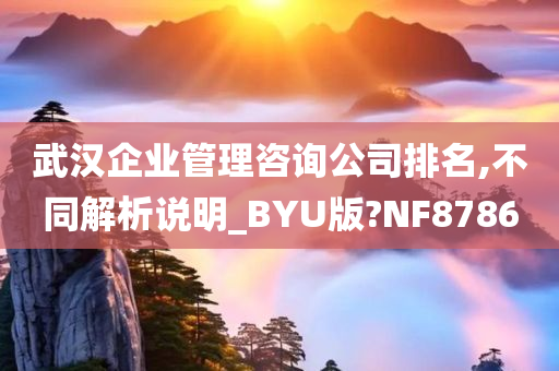 武汉企业管理咨询公司排名,不同解析说明_BYU版?NF8786