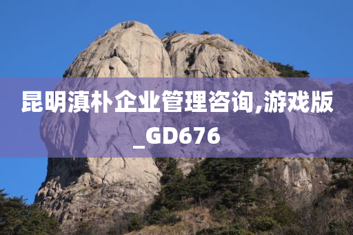 昆明滇朴企业管理咨询,游戏版_GD676