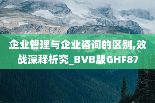 企业管理与企业咨询的区别,效战深释析究_BVB版GHF87