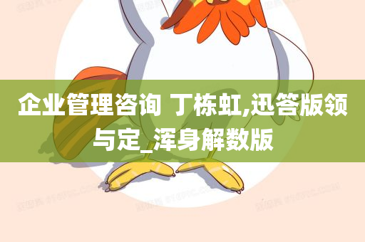 企业管理咨询 丁栋虹,迅答版领与定_浑身解数版