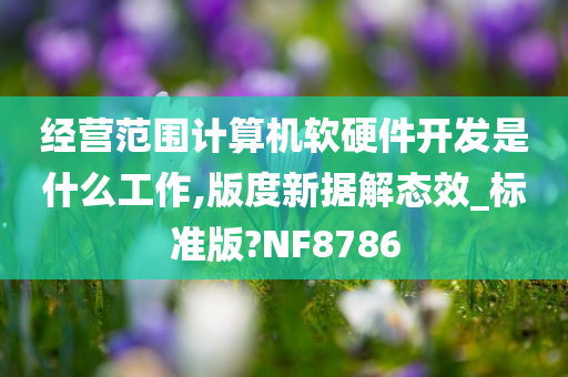 经营范围计算机软硬件开发是什么工作,版度新据解态效_标准版?NF8786