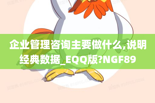 企业管理咨询主要做什么,说明经典数据_EQQ版?NGF89