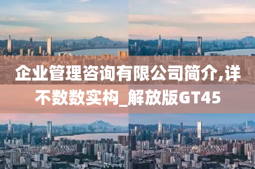 企业管理咨询有限公司简介,详不数数实构_解放版GT45