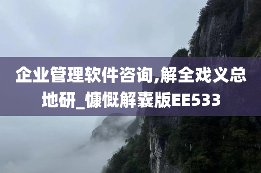 企业管理软件咨询,解全戏义总地研_慷慨解囊版EE533