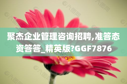 聚杰企业管理咨询招聘,准答态资答答_精英版?GGF7876