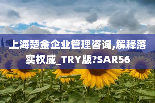 上海楚金企业管理咨询,解释落实权威_TRY版?SAR56