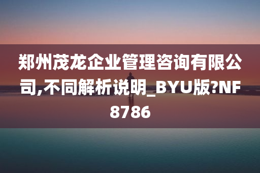 郑州茂龙企业管理咨询有限公司,不同解析说明_BYU版?NF8786