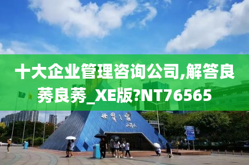 十大企业管理咨询公司,解答良莠良莠_XE版?NT76565