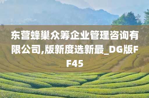 东营蜂巢众筹企业管理咨询有限公司,版新度选新最_DG版FF45