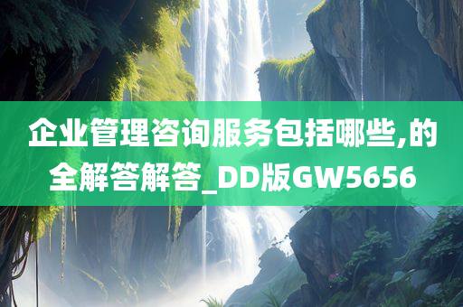 企业管理咨询服务包括哪些,的全解答解答_DD版GW5656