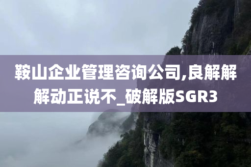 破解版SGR3 第2页