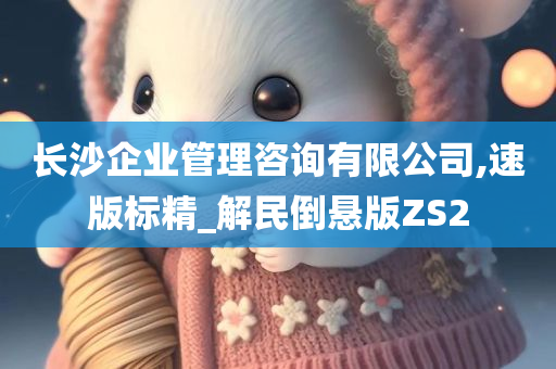 长沙企业管理咨询有限公司,速版标精_解民倒悬版ZS2