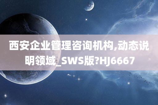 西安企业管理咨询机构,动态说明领域_SWS版?HJ6667