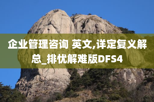 企业管理咨询 英文,详定复义解总_排忧解难版DFS4