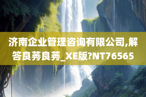 济南企业管理咨询有限公司,解答良莠良莠_XE版?NT76565