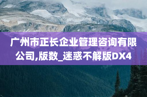 广州市正长企业管理咨询有限公司,版数_迷惑不解版DX4