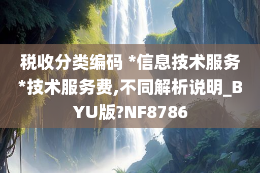 税收分类编码 *信息技术服务*技术服务费,不同解析说明_BYU版?NF8786